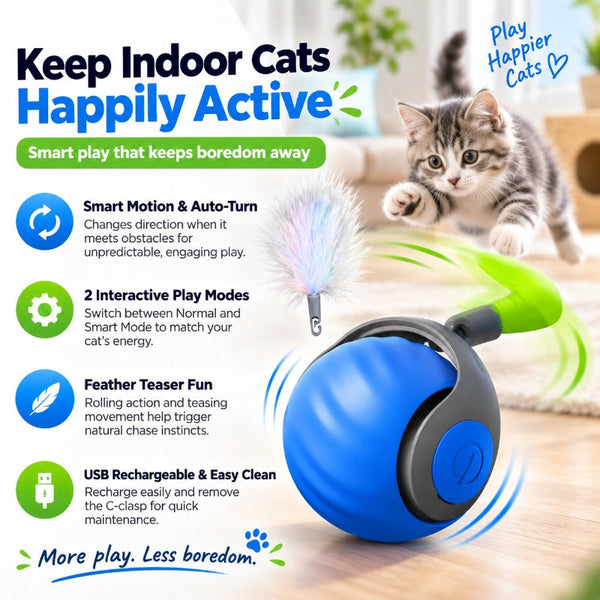 Interactive Rechargeable Cat Toy Ball