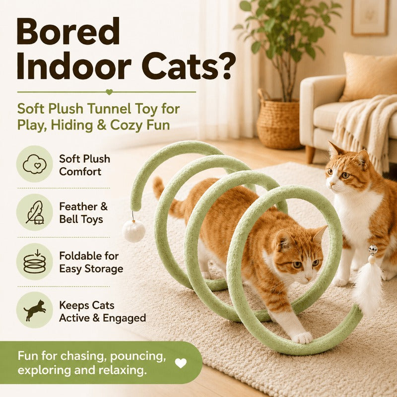 Foldable Spiral Cat Toy